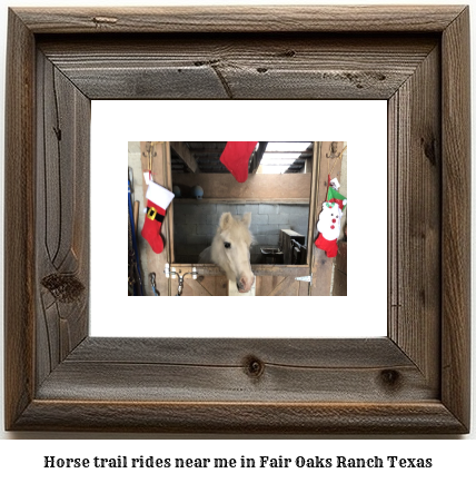 horse trail rides near me in Fair Oaks Ranch, Texas